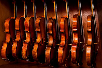 Violins