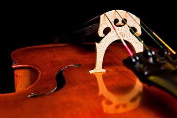 Cello Bridge